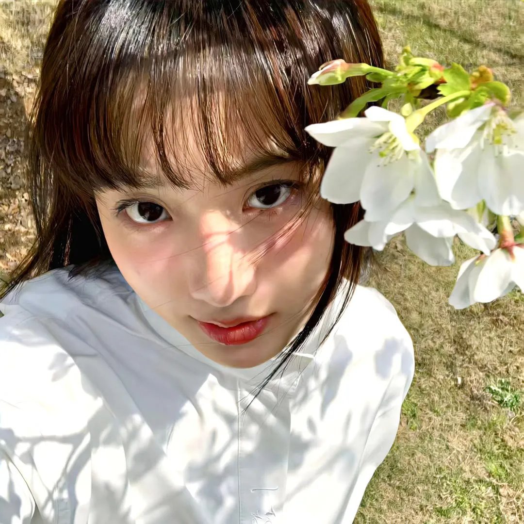少女革命:思春期默示录 在线观看
